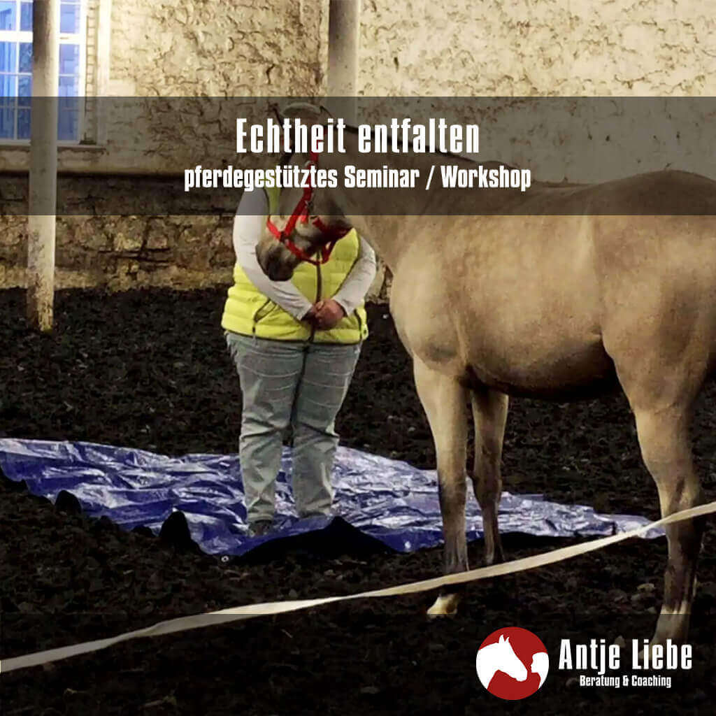 Seminare & Workshops 4 Echtheit entfalten