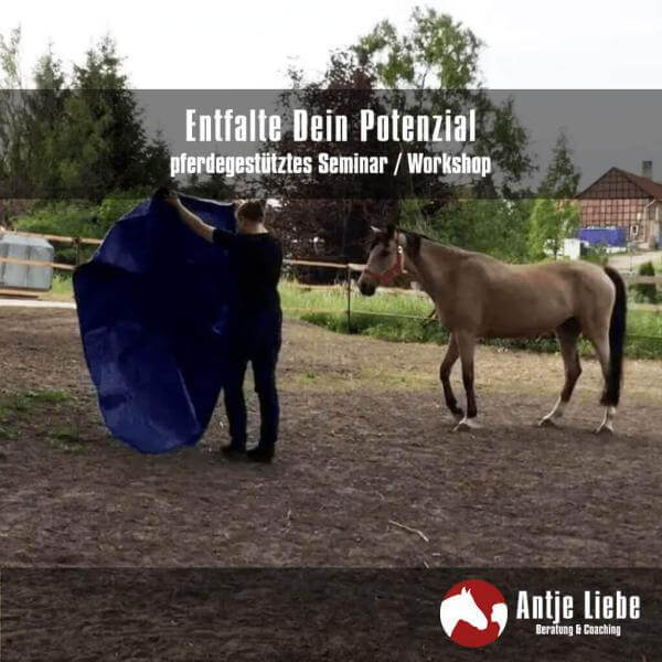 pferdegestütztes Seminar Entfalte Dein Potenzial - Pferdegestützte Persönlichkeitsentwicklung für ein erfülltes Leben | Antje Liebe - Beratung & Coaching