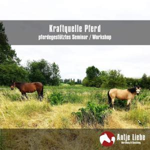 pferdegestütztes Seminar Kraftquelle Pferd - Ihr Weg zu nachhaltiger Resilienz und Lebensbalance | Antje Liebe - Beratung & Coaching