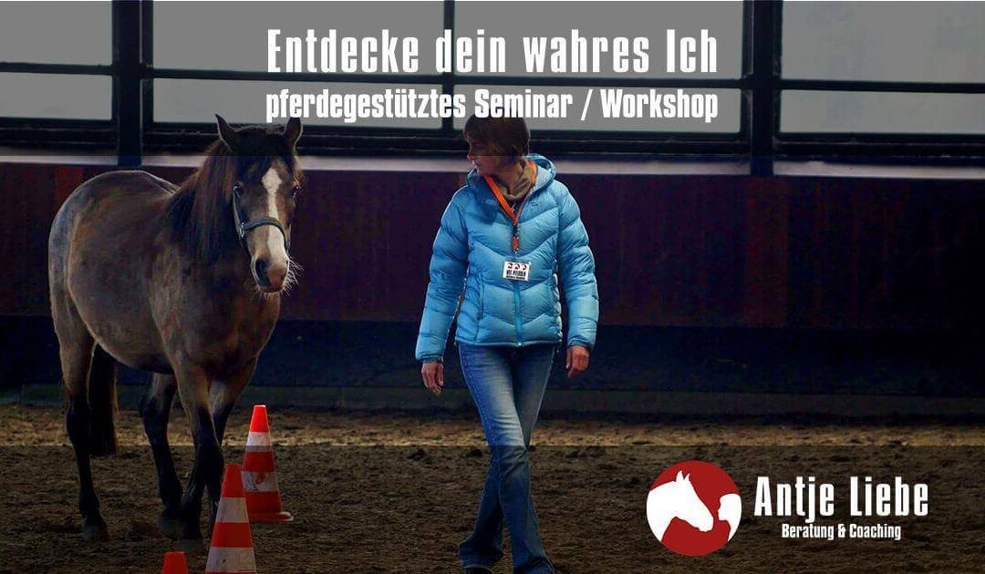 Entdecke dein wahres Ich – pferdegestützter Workshop