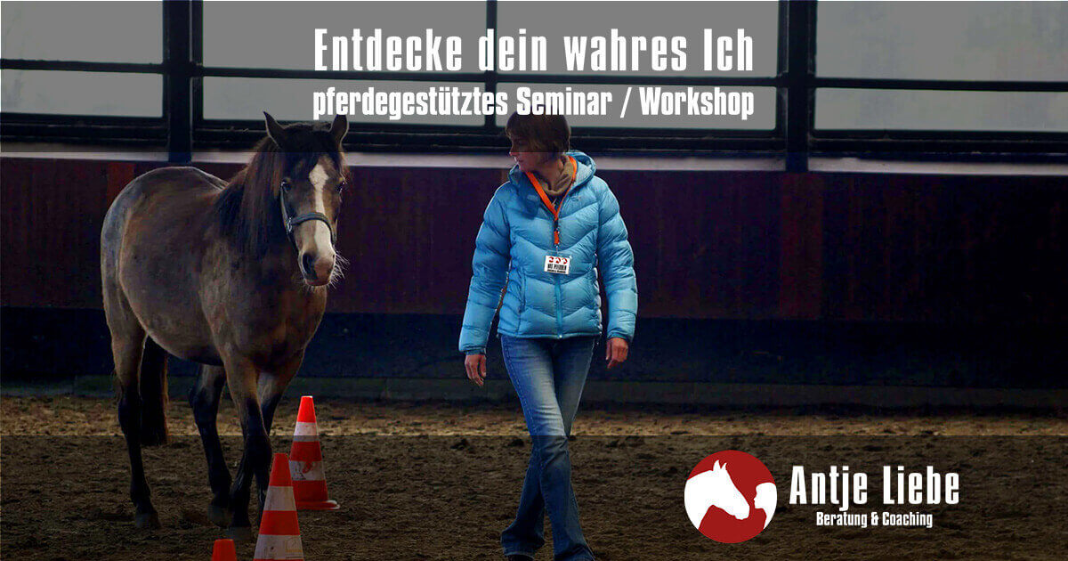 pferdegestütztes Seminar Entdecke dein wahres Ich - Kraftvolle Persönlichkeitsentwicklung mit Pferden als Coaches | Antje Liebe - Beratung & Coaching