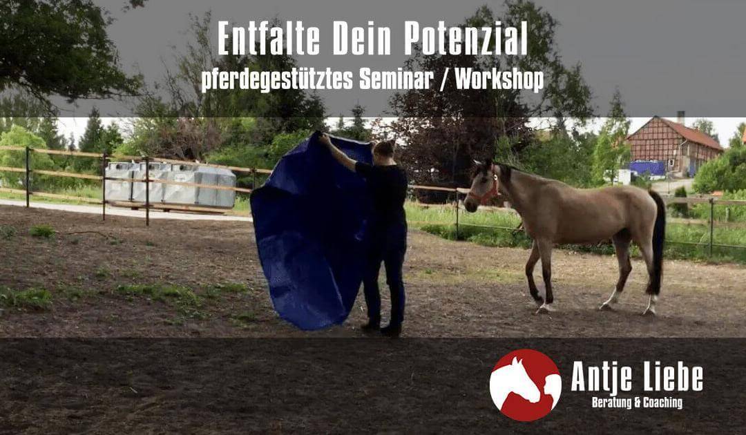 Entfalte dein Potenzial