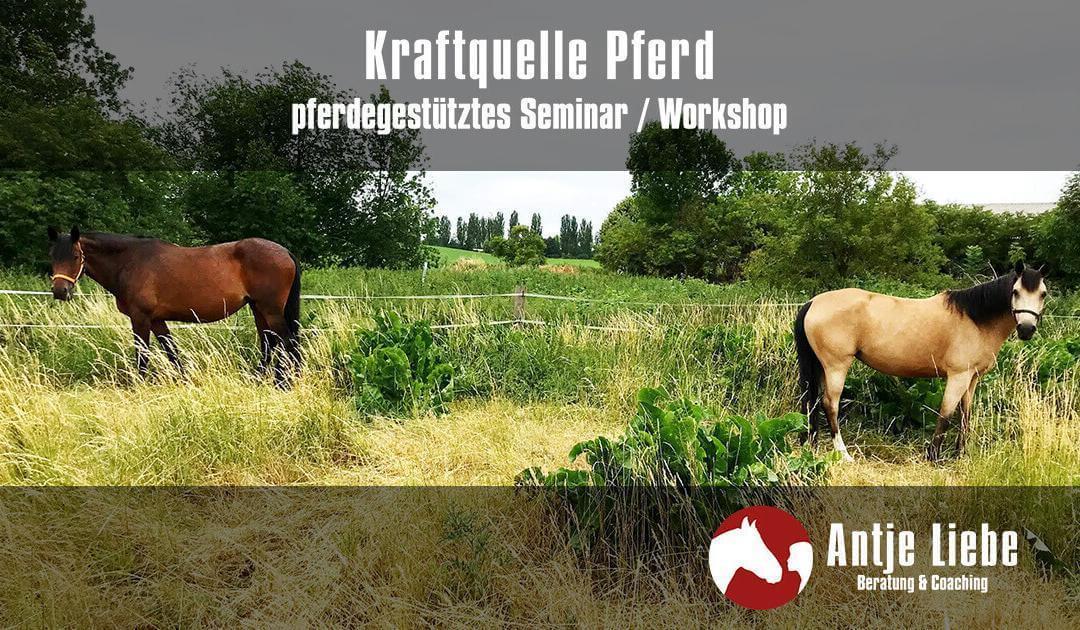 Kraftquelle Pferd – pferdegestützter Workshop