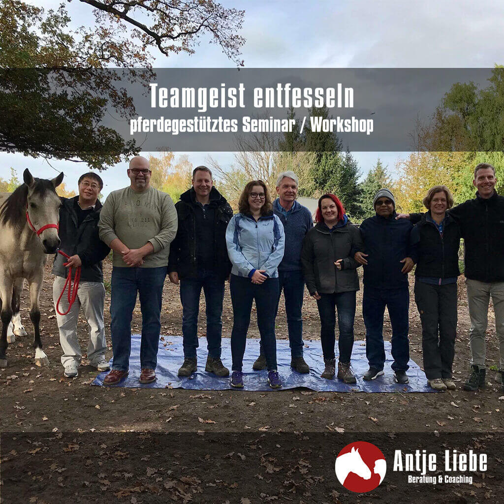 Seminare & Workshops 19 Teamgeist entfesseln