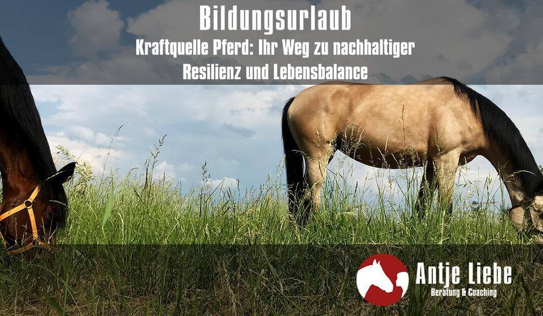 Bildungsurlaub Kraftquelle Pferd – pferdegestützter Workshop