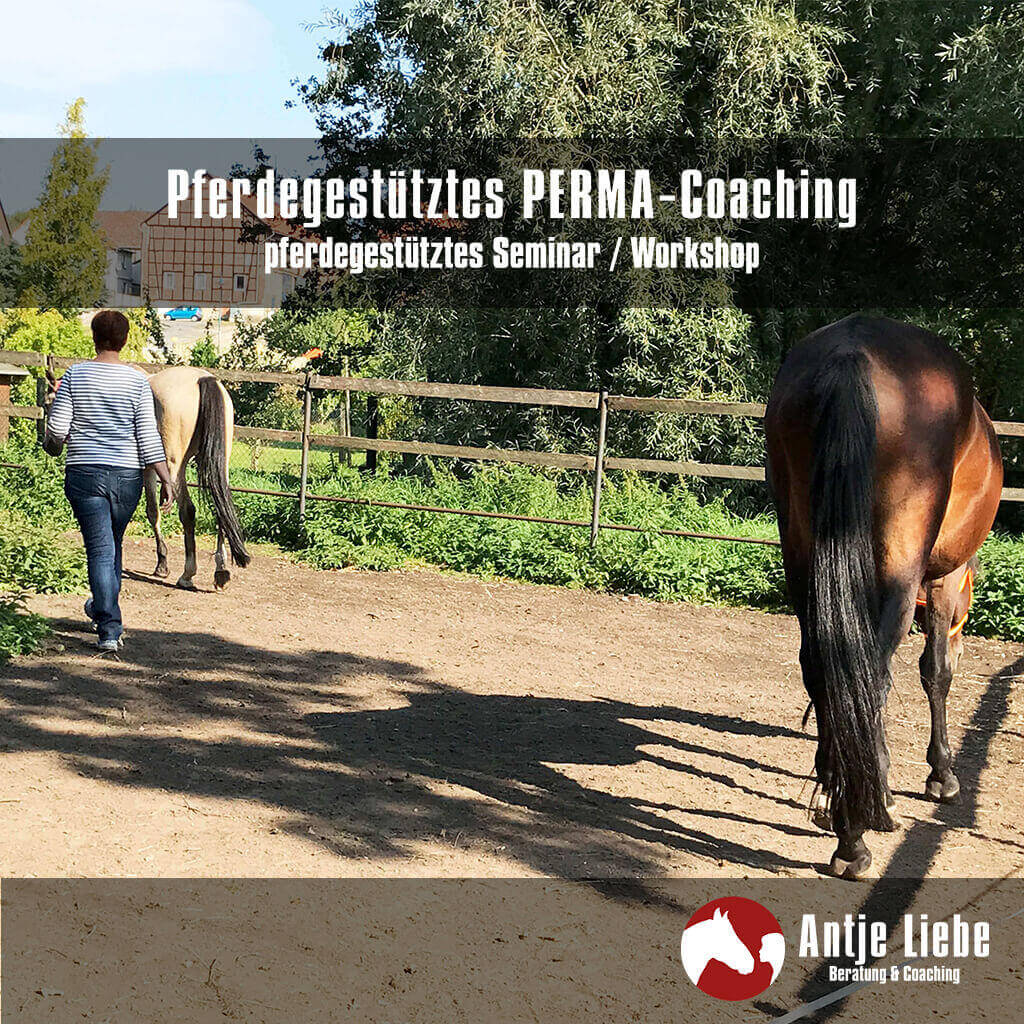 Seminare & Workshops 18 pferdegestütztes PERMA-Coaching