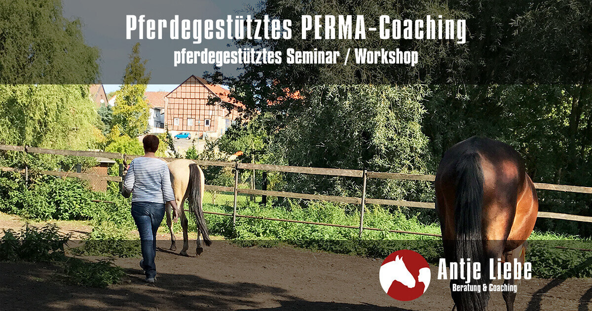 Einzelcoaching Pferdegestütztes PERMA-Coaching: Ihr Weg zu nachhaltigem Erfolg und Wohlbefinden | Antje Liebe | Fortbildungen, Weiterbildungen, Workshops, Seminare, Beratungen, Coachings