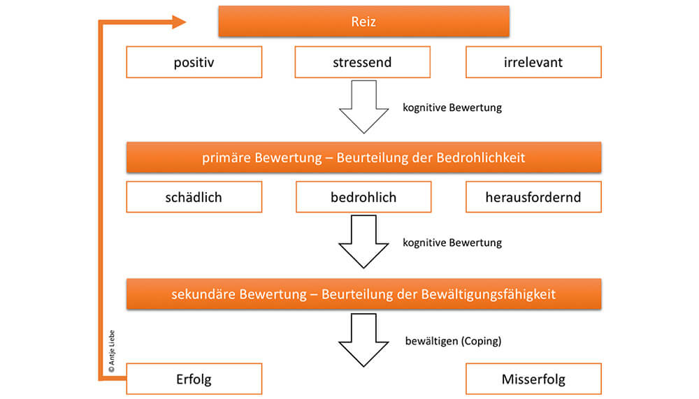 transaktionales Stressmodell nach Lazarus | Antje Liebe | Fortbildungen, Weiterbildungen, Workshops, Seminare, Beratungen, Coachings