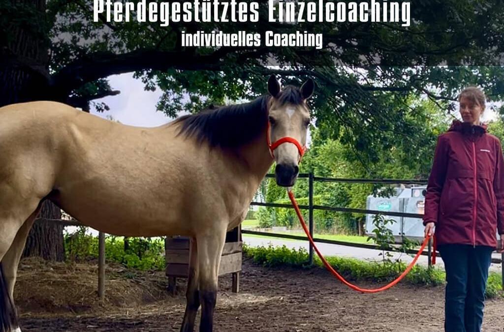 Pferdegestütztes Einzelcoaching – Ihre persönliche Auszeit für neue Impulse