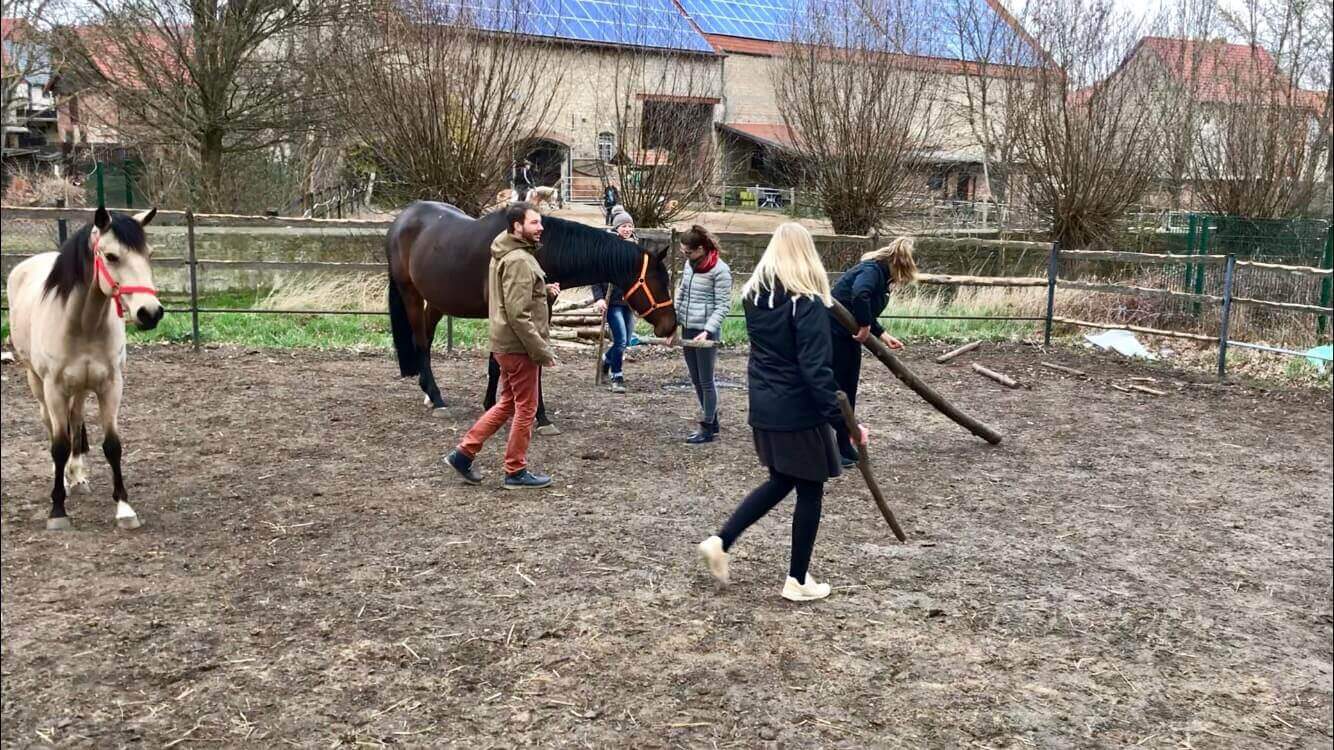 Firmenseminare & Firmen-Workshops, pferdegestützte Firmenseminare, pferdegestützte Firmen-Workshops, Workshops Sachsen-Anhalt, Workshops Niedersachsen, förderfähige Firmenseminare, förderfähige Firmen-Workshops | Antje Liebe | Fortbildungen, Weiterbildungen, Workshops, Seminare, Beratungen, Coachings