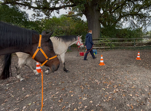 Seminare, Workshops, Seminare in Sachsen-Anhalt, Workshops in Sachsen-Anhalt, Seminare Sachsen-Anhalt, Workshops Sachsen-Anhalt | Antje Liebe | Fortbildungen, Weiterbildungen, Workshops, Seminare, Beratungen, Coachings Seminare, Workshops, Seminare in Sachsen-Anhalt, Workshops in Sachsen-Anhalt, Seminare Sachsen-Anhalt, Workshops Sachsen-Anhalt | Antje Liebe | Fortbildungen, Weiterbildungen, Workshops, Seminare, Beratungen, Coachings
